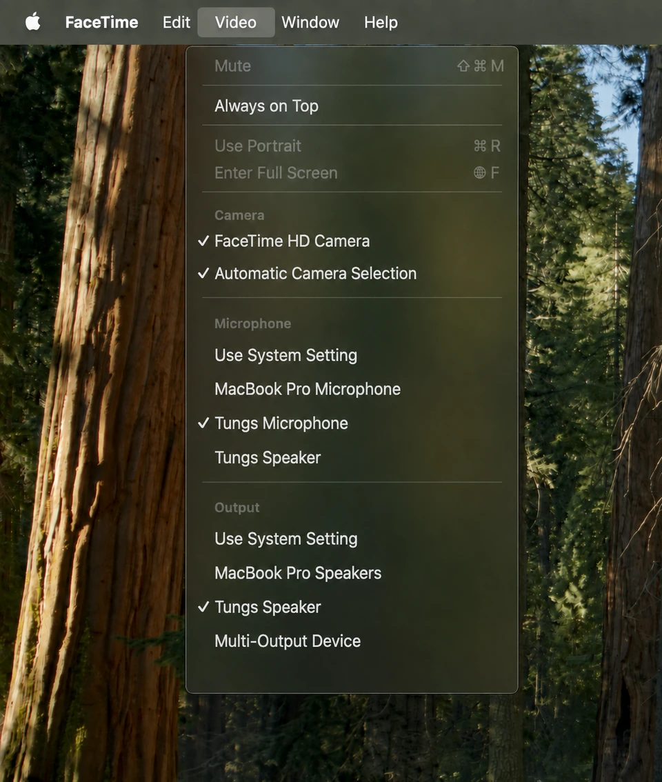 FaceTime's Video menu with Tungs Microphone and Tungs Speaker selected